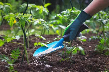 Construction & Geotechnical Soil Testing