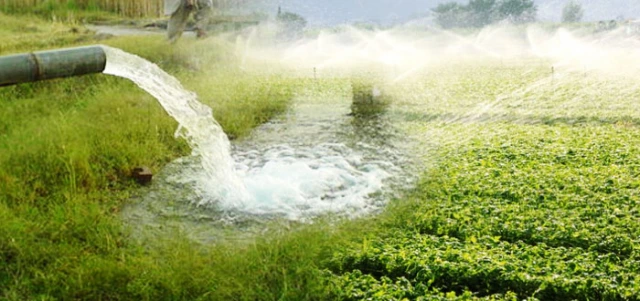 Groundwater and Borewell Water