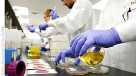 Quality and Safety Tests