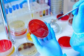 Microbiological Testing