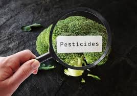 Pesticide Residue Analysis